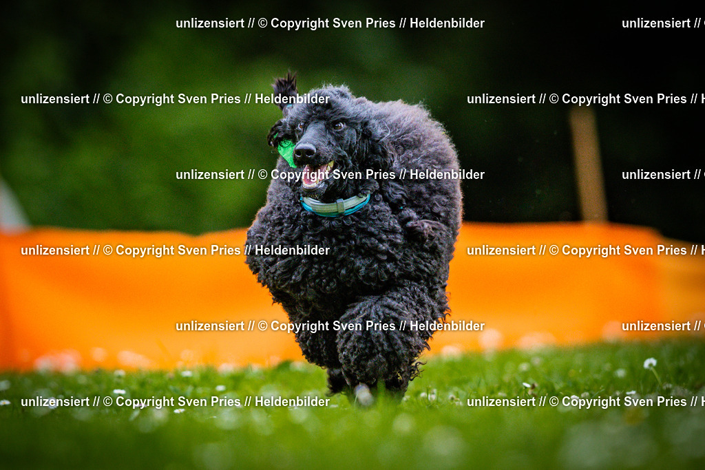 Sven Pries | 2025-05-29 - Pudelrennen KA-Durlach - Realisiert mit Pictrs.com