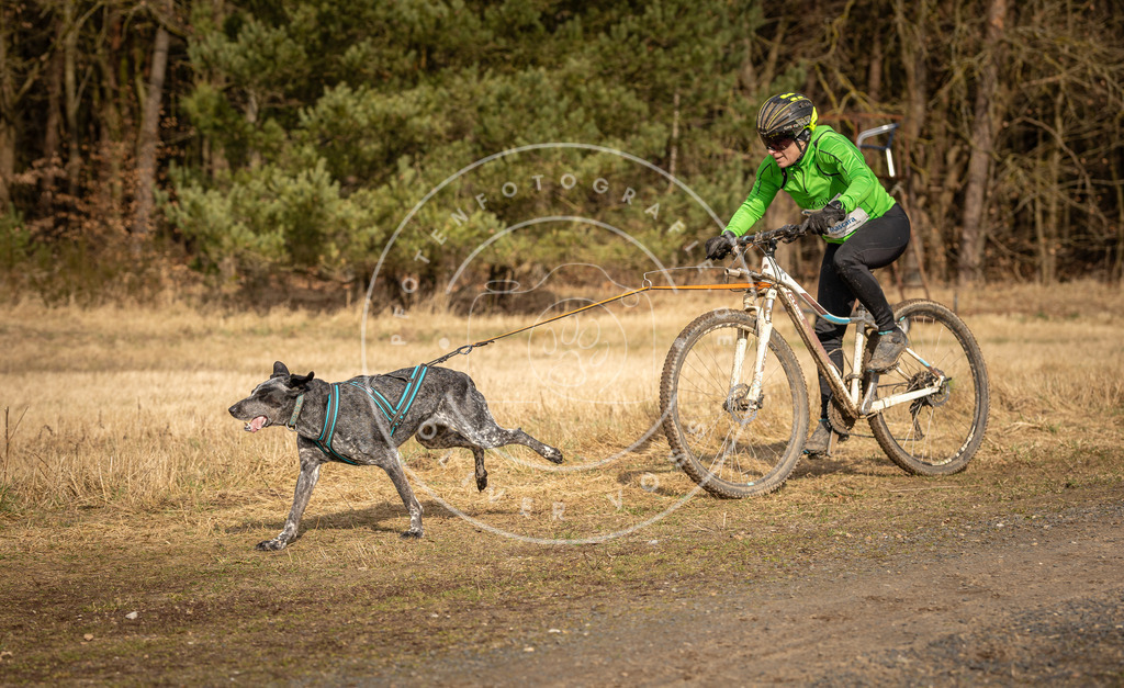 DV3A4426 | Hundefotografie, Tierfotograf, Pfotenfotografie, Fotoshooting Hund, Hunde Portrait, Hundesport, Hundeportraits, Heideshooting, Hunde, Sportfotograf, Hundefotograf, Turnierhundsport, THS,  - Realisiert mit Pictrs.com