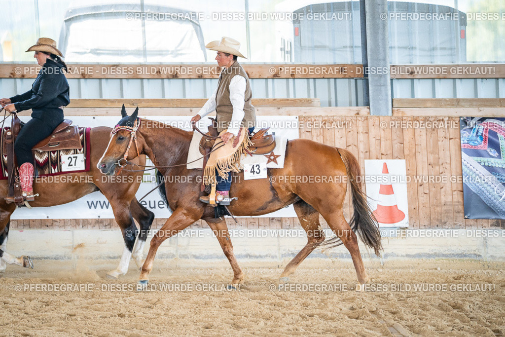 DSC03583 | Pferdegrafie