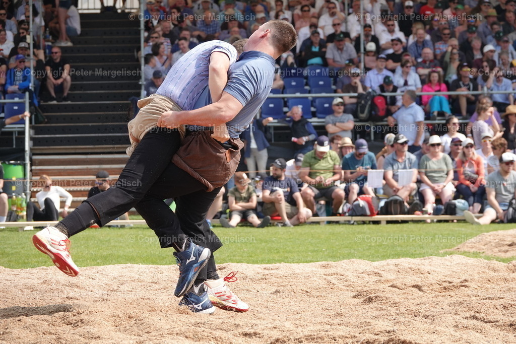 DSC04540 | Schwingen - Realisiert mit Pictrs.com