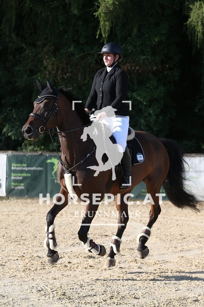 Pallinger | Willkommen bei Brunnmayr - Design & Fotografie – Ihrem Spezialisten für Reitturniere und Pferdeveranstaltungen in Oberösterreich, Salzburg und Bayern! Seit über 17 Jahren sind wir leidenschaftlich dabei.