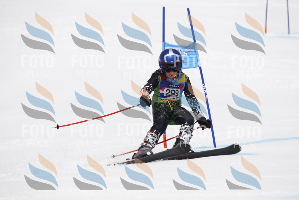 _U3G7449 | holidayphoto