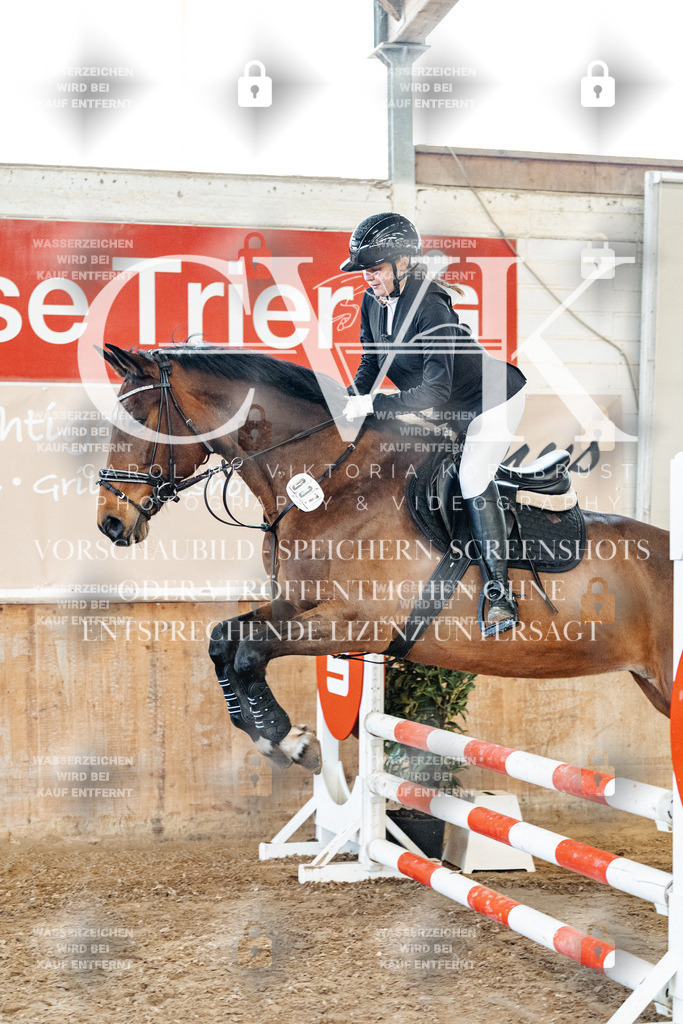 CK904769 | Turnierfotografie Pferdefotografie Trier Rheinland-Pfalz Pferdesport Reitsport Tierfotografie Sportfotografie Pferdevideo Pferdevideografie Equestrianvideography equestrianphotography  - Realisiert mit Pictrs.com