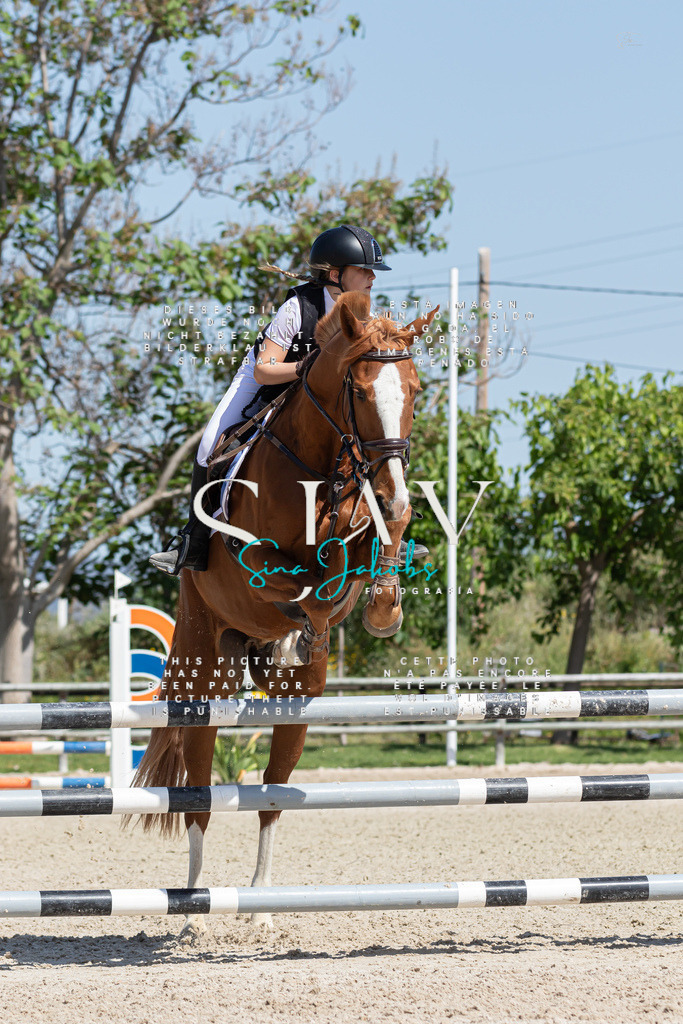 IMG_0729 | s-jay-photography - Realized with Pictrs.com