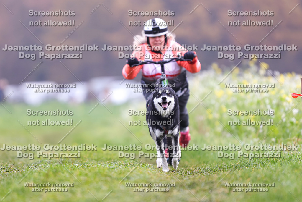 Dog Paparazzi - Visbeck 25 -316 | Dog Paparazzi Jeanette Grottendiek Fotografie & Videografie - Realisiert mit Pictrs.com