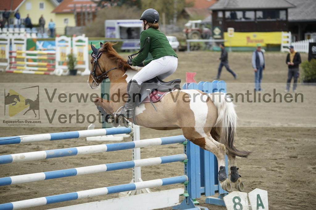 _DSC7341 | equestrian-live-com