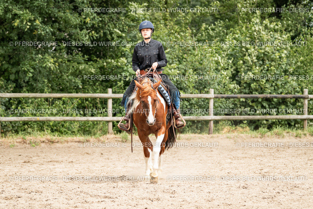 DSC01266 | Pferdegrafie