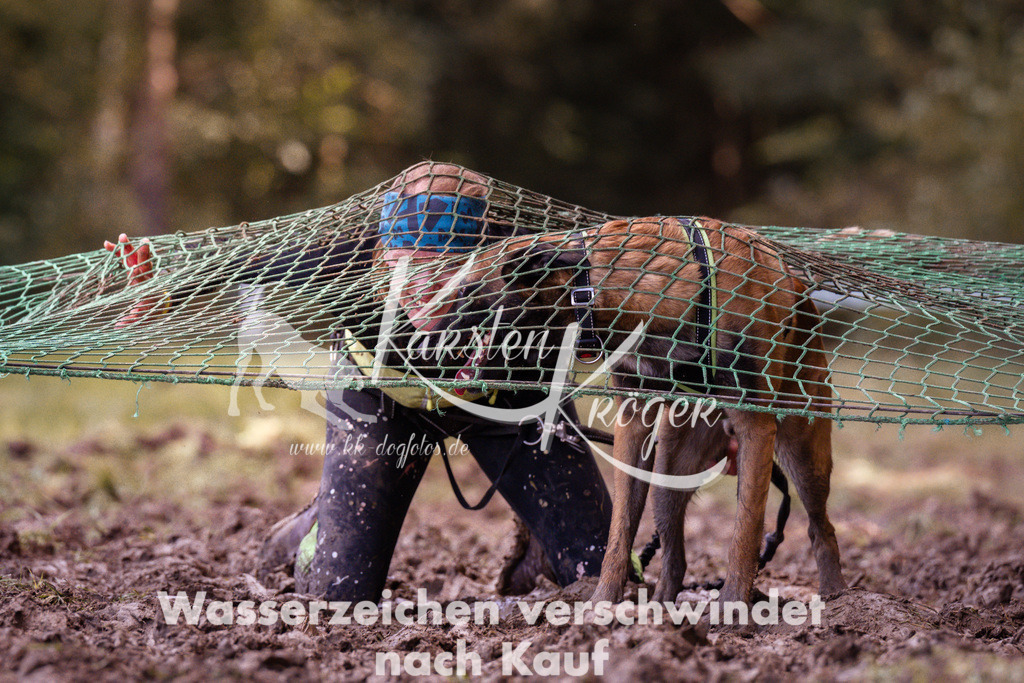 1248_ZZ91306 | kk-dogfotos