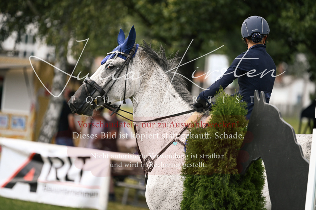 DSC_0928 | Pferde- und Turnierfotografie in Westsachsen. Pferdeportraits, Auftragszeichnungen und intuitive Kunst.