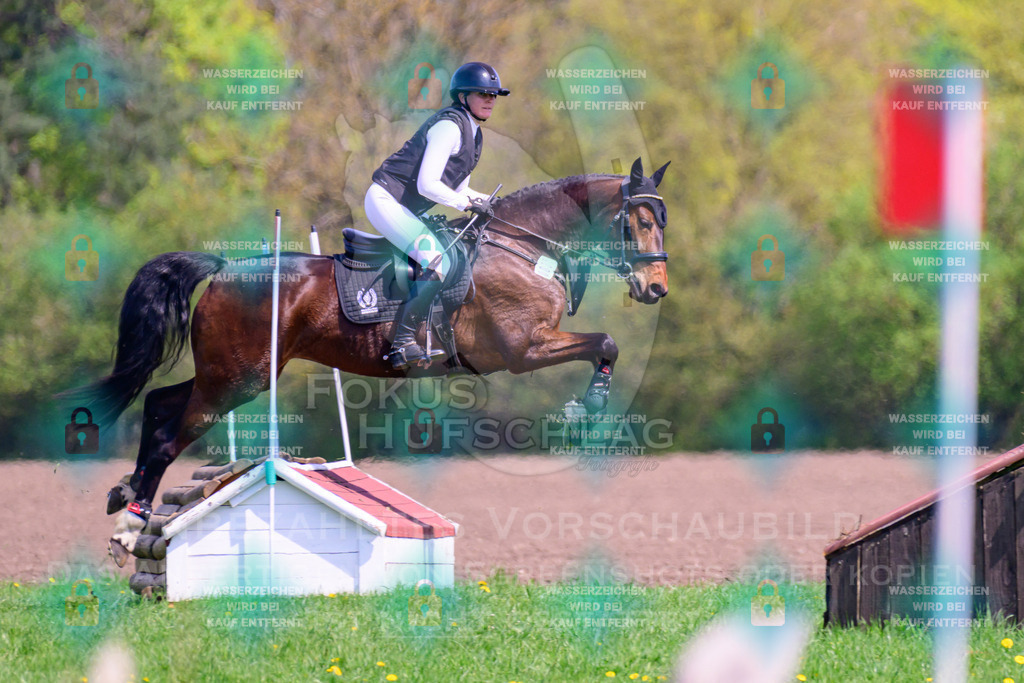 18042026-Gernlinden-01-1-0344 | Fokus Hufschlag Fotografie - Realisiert mit Pictrs.com