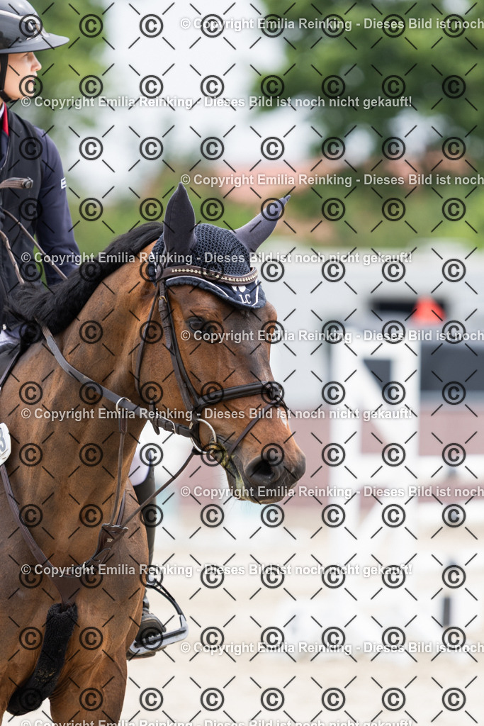 CL5A1999 | Emilia Reinking Fotografie - Realisiert mit Pictrs.com