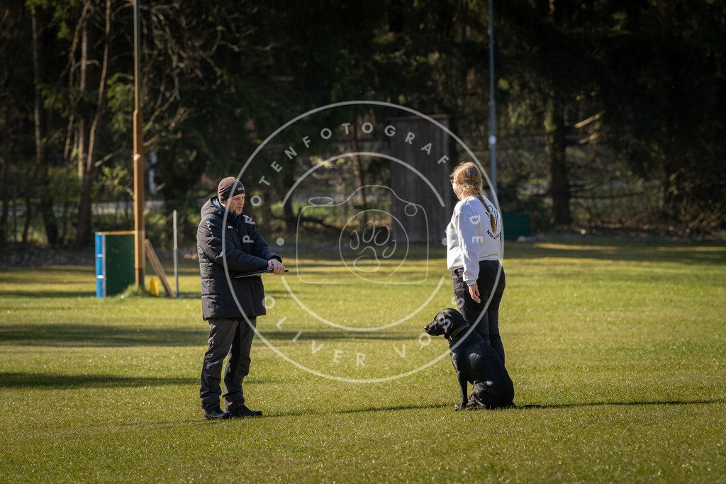 Pfotenfotografie_DV3A0263 | Hundefotografie, Tierfotograf, Pfotenfotografie, Fotoshooting Hund, Hunde Portrait, Hundesport, Hundeportraits, Heideshooting, Hunde, Sportfotograf, Hundefotograf, Turnierhundsport, THS,  - Realisiert mit Pictrs.com