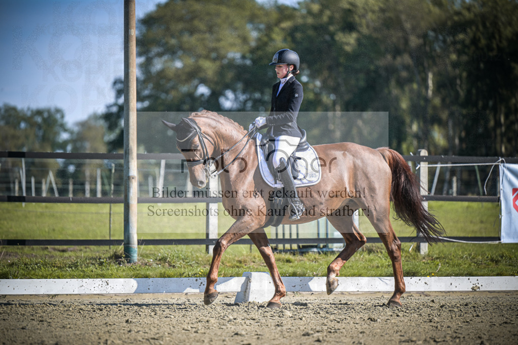DOS_2867 | Entdecke hochwertige Reitturnierfotos von Foto Oger. Professionell, emotional und authentisch – jetzt Lieblingsmomente im Shop bestellen.Deutschlandweite Turnierfotografie. - Realisiert mit Pictrs.com