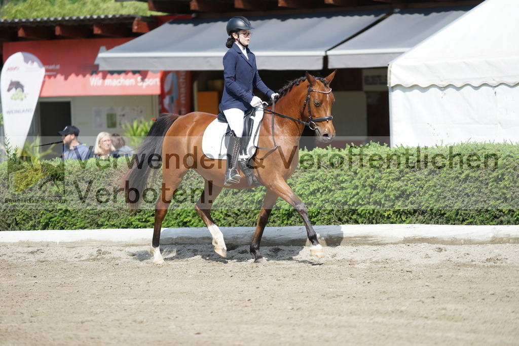 DSC04426 | equestrian-live-com