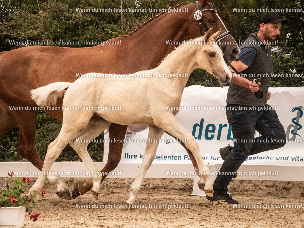 A10I1006 | photographylinaismer - Realisiert mit Pictrs.com