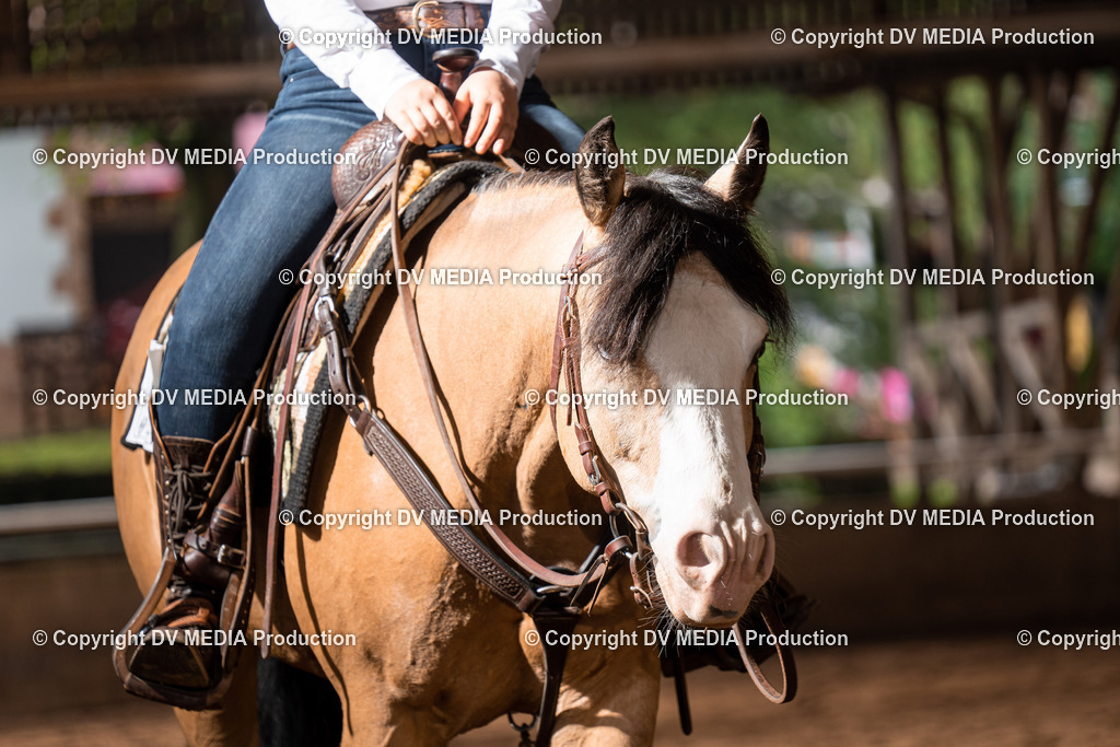 Erbach Tag 2-324 | dv-media-shop - Realisiert mit Pictrs.com