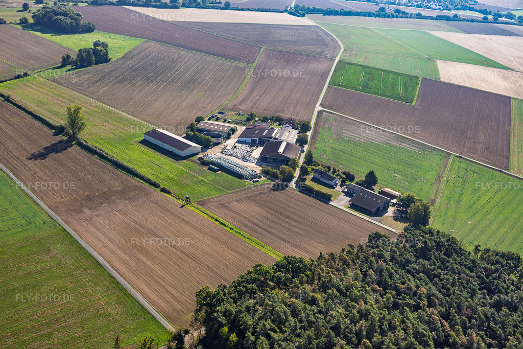 Luftbild: Ingo Deiler Lindenhof und Jost Appartmenthaus im Ortsteil Kleestadt in Groß-Umstadt im Bundesland Hessen in Deutschland. – Foto: IMG_159109.jpg vom 22.09.2026 durch Werner Riehm/FLY-FOTO.de – Auflösung des Originals: 6000 x 4000 px