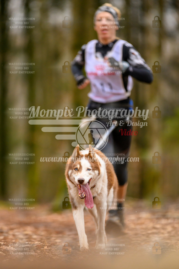 MompixPhotography_Habay2024_SA_Fun-38 | PayLife