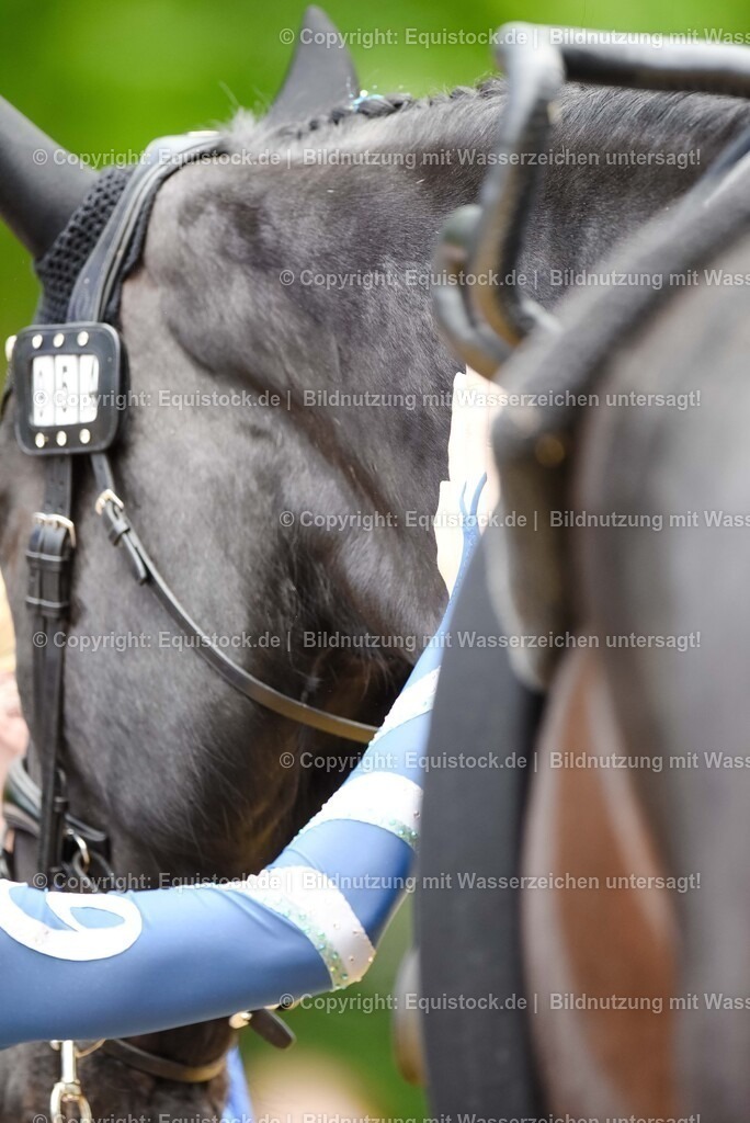 20250608_CVI-Masterclass_0921 | Foto: Thomas Hartig