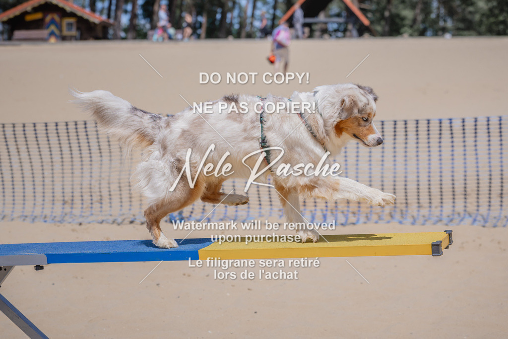 NR__2684 | nelerasche