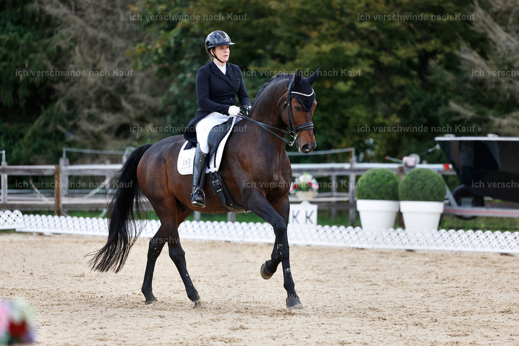 10-193-ST.GEORG SPECIAL -StoibPH-3240 | working equitationturnier fotograf videograf stoibphotography marixx film working equitation deutschland reitsport turnierfotografie eventfotografie equestrian events
