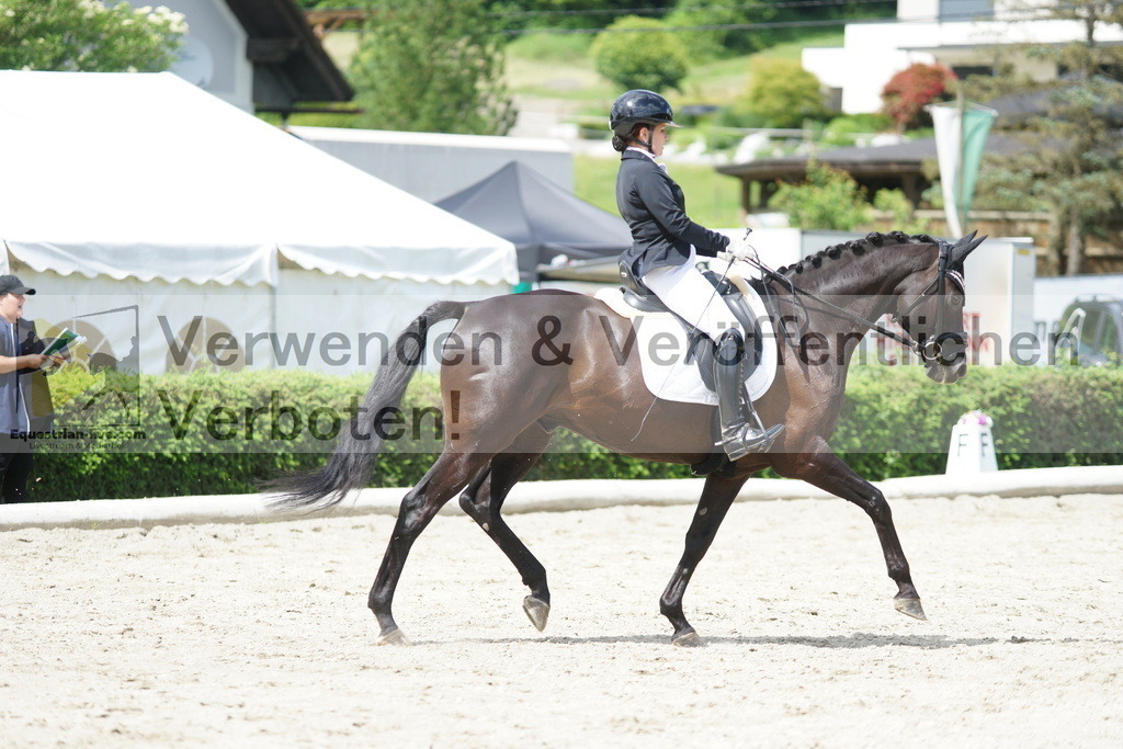 DSC05363 | equestrian-live-com