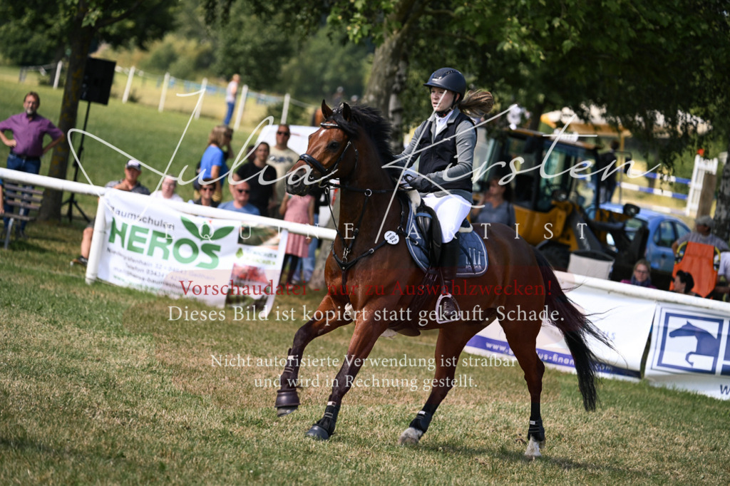 DSC_0514 | Pferde- und Turnierfotografie in Westsachsen. Pferdeportraits, Auftragszeichnungen und intuitive Kunst.