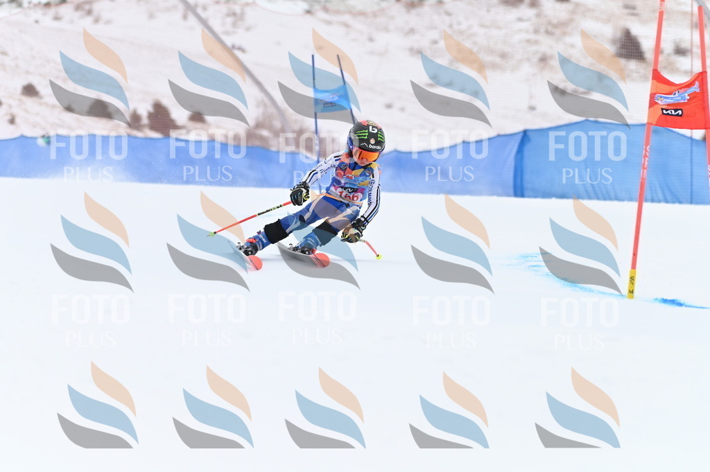 BGV_0006 | holidayphoto