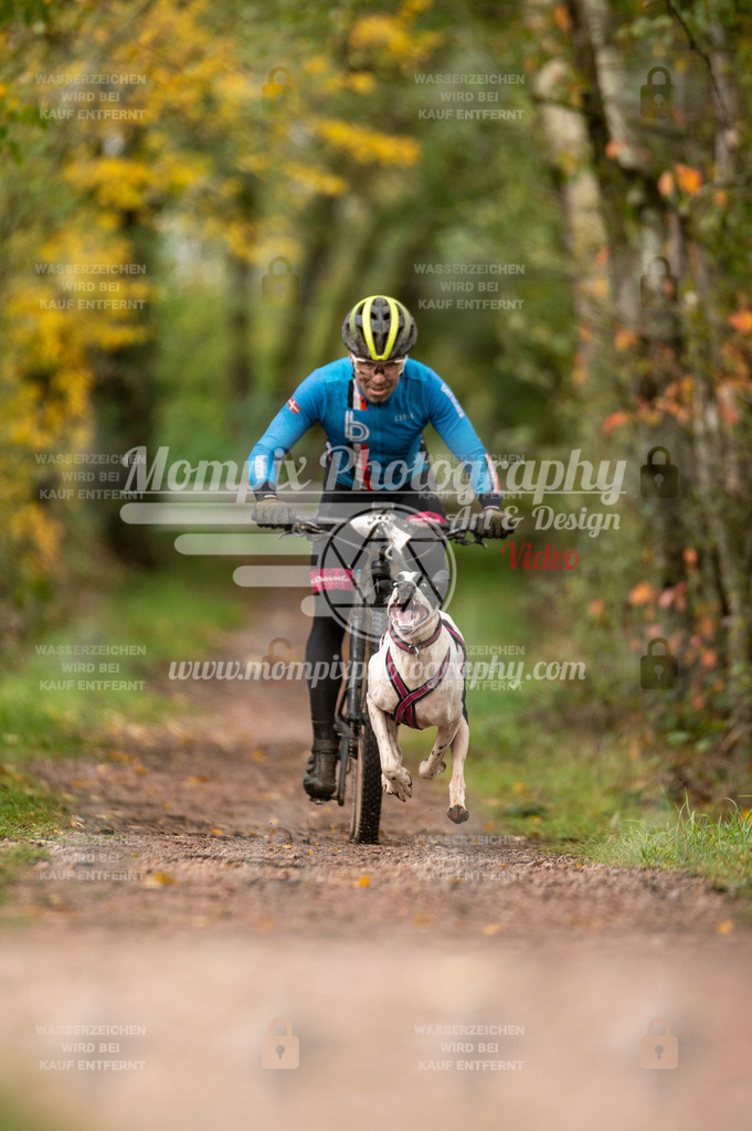 TSB_2023_E4_Bike-2 | PayLife