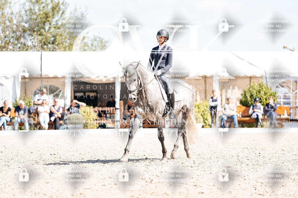 CK903788 | Turnierfotografie Pferdefotografie Trier Rheinland-Pfalz Pferdesport Reitsport Tierfotografie Sportfotografie Pferdevideo Pferdevideografie Equestrianvideography equestrianphotography  - Realisiert mit Pictrs.com