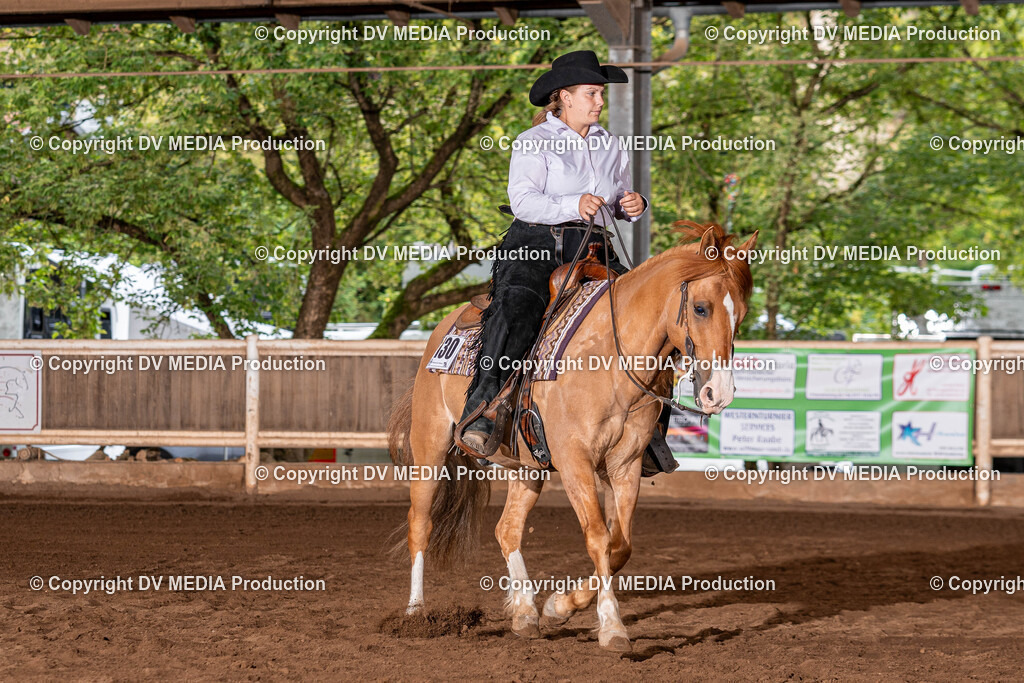 Erbach Tag 2-332 | dv-media-shop - Realisiert mit Pictrs.com