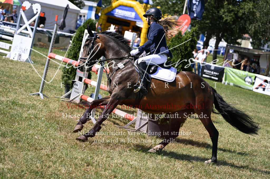 DSC_0398 | Pferde- und Turnierfotografie in Westsachsen. Pferdeportraits, Auftragszeichnungen und intuitive Kunst.