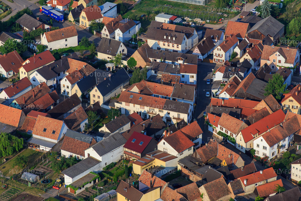 Luftbild: Pfalzstr in Zeiskam im Bundesland Rheinland-Pfalz in Deutschland. Foto: IMG_080635.jpg vom 12.06.2015 durch Werner Riehm/FLY-FOTO.de