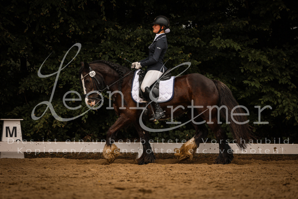 DoDrE00335 | Leoni Ertmer Photography - Realisiert mit Pictrs.com