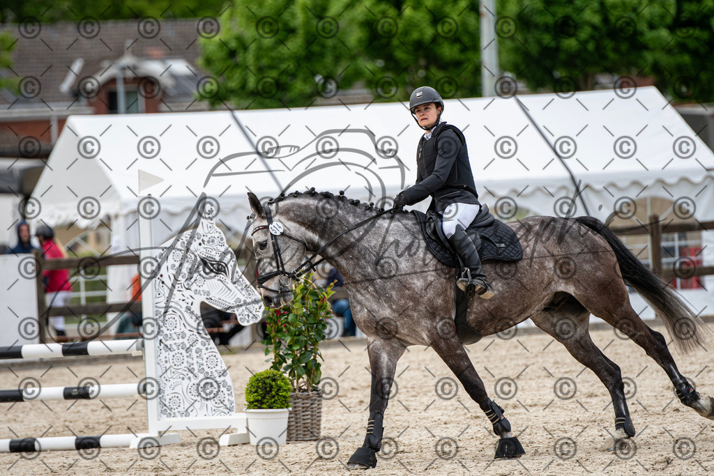 KPT_7263 | andre_photographic