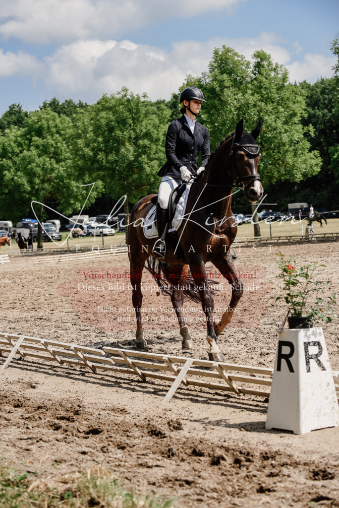 DSC_0848 | Pferde- und Turnierfotografie in Westsachsen. Pferdeportraits, Auftragszeichnungen und intuitive Kunst.