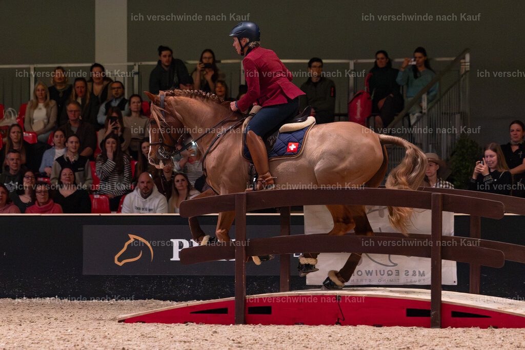 JoseraCup-151 | working equitationturnier fotograf videograf stoibphotography marixx film working equitation deutschland reitsport turnierfotografie eventfotografie equestrian events