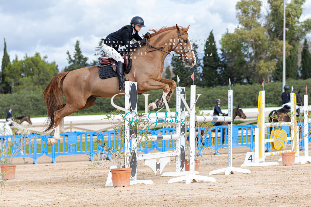 IMG_2944 | s-jay-photography - Realisiert mit Pictrs.com