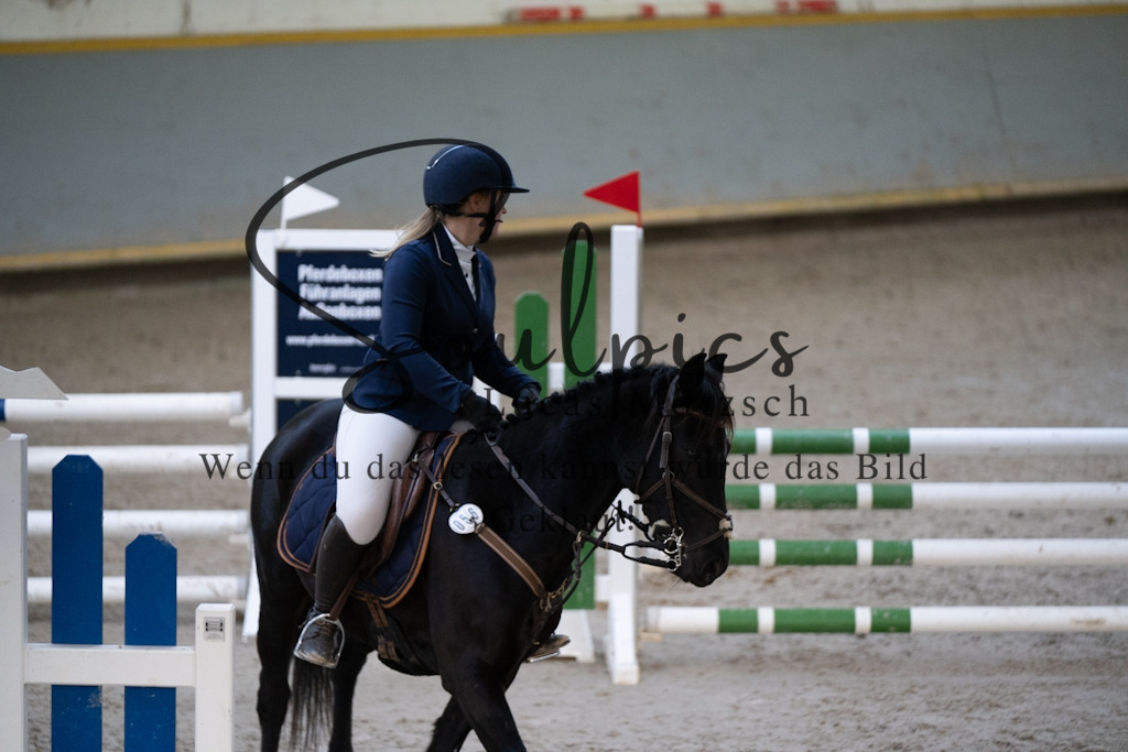 A7V01630 | Pferdefotograf