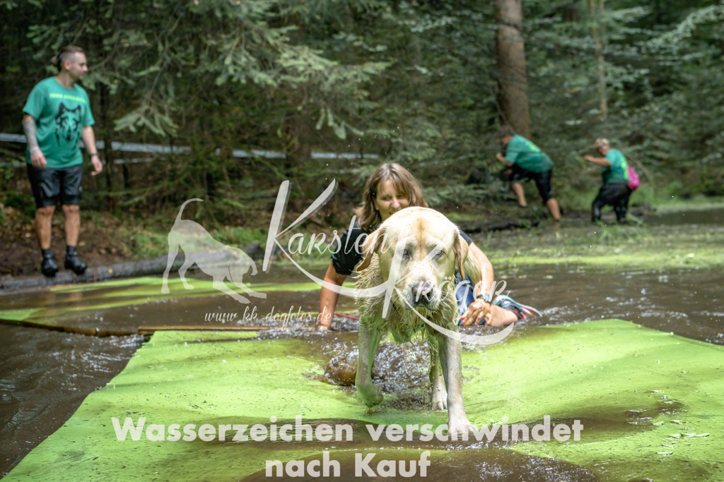 1511_ZZ94613-Bearbeitet | kk-dogfotos