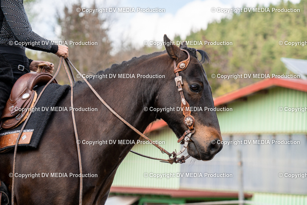 BAL02520 | dv-media-shop - Realisiert mit Pictrs.com