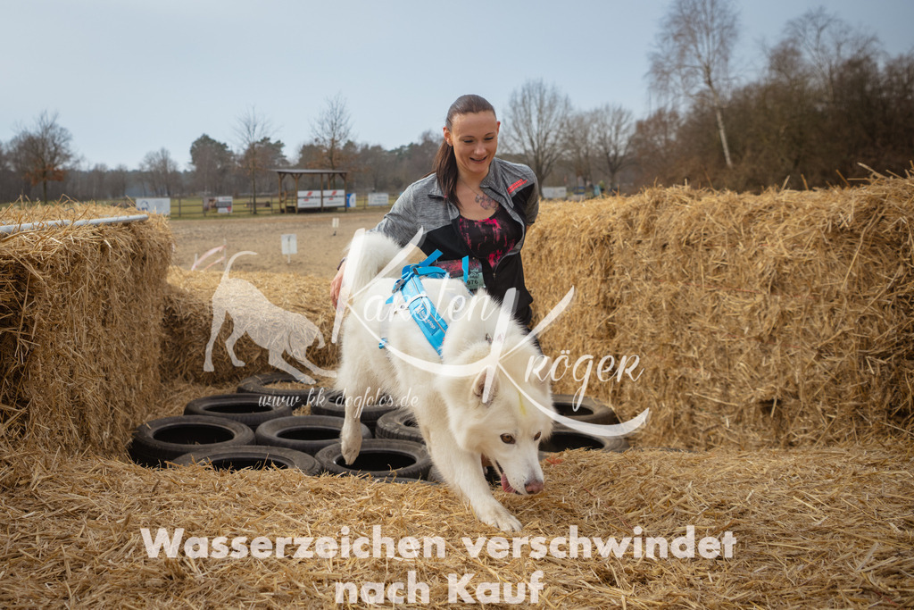 1141_ZZ94857 | kk-dogfotos
