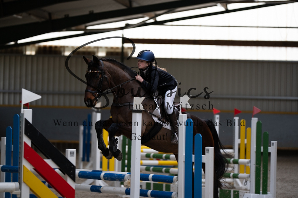 A7V04197 | Pferdefotograf