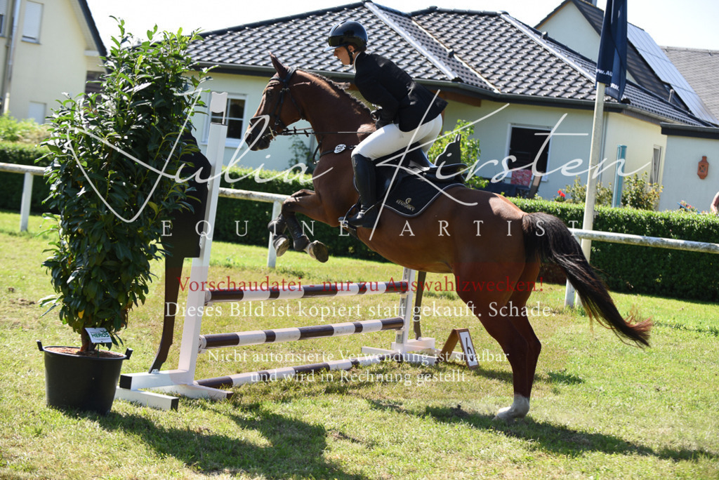 DSC_9427 | Pferde- und Turnierfotografie in Westsachsen. Pferdeportraits, Auftragszeichnungen und intuitive Kunst.