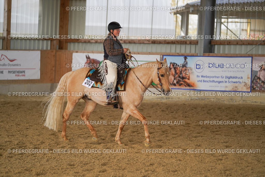 DSC00934 | Pferdegrafie