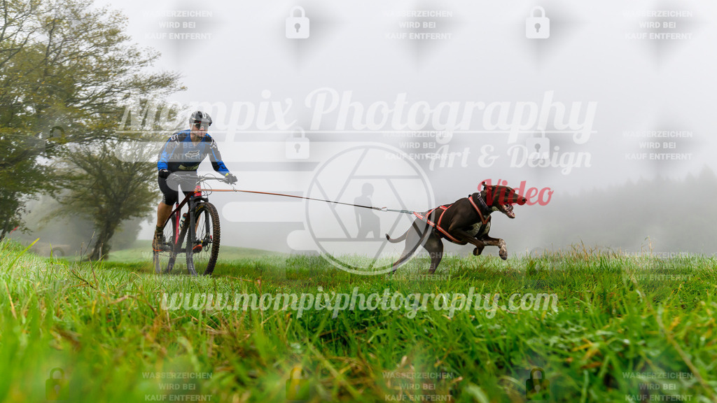 MompixPhotography_20TSB_E5_Bike-58 | PayLife