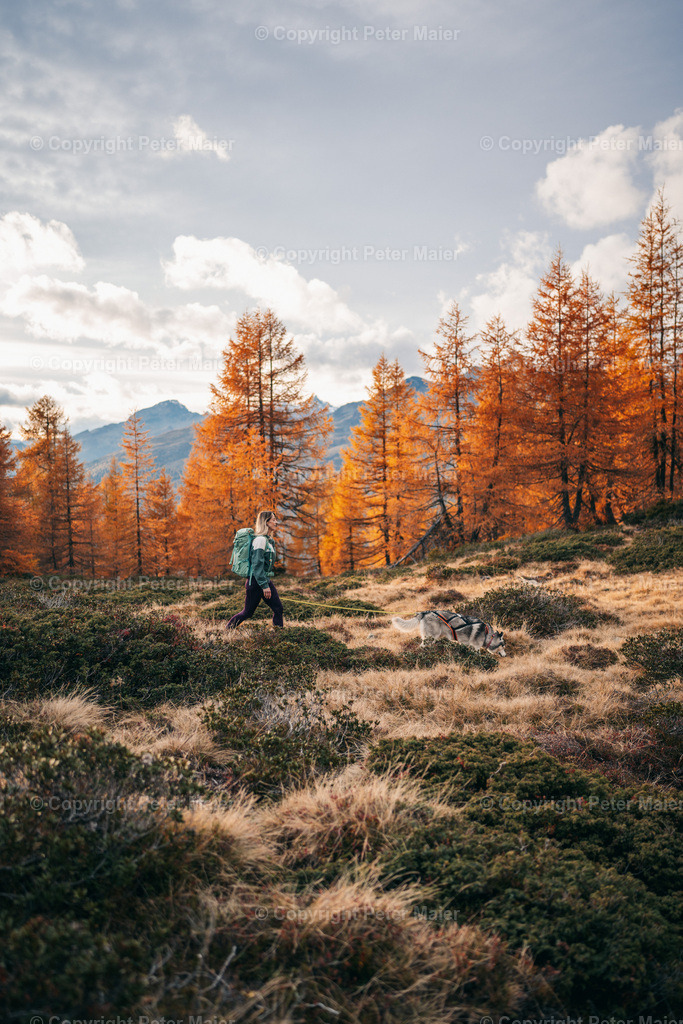 Ebeneck_Herbst_24-183 | piet_flosse