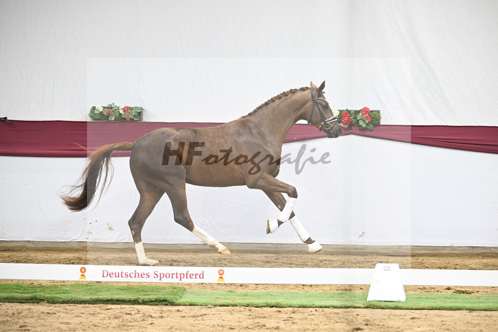 Kat-Nr. 138 Flashbang x Benetton Dream_Christian Gaeher_47251458 | hf-fotografie - Realisiert mit Pictrs.com