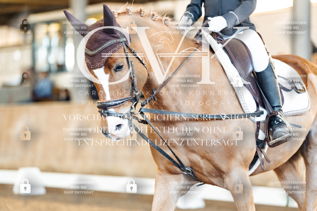 CK907964 | Turnierfotografie Pferdefotografie Trier Rheinland-Pfalz Pferdesport Reitsport Tierfotografie Sportfotografie Pferdevideo Pferdevideografie Equestrianvideography equestrianphotography  - Realisiert mit Pictrs.com