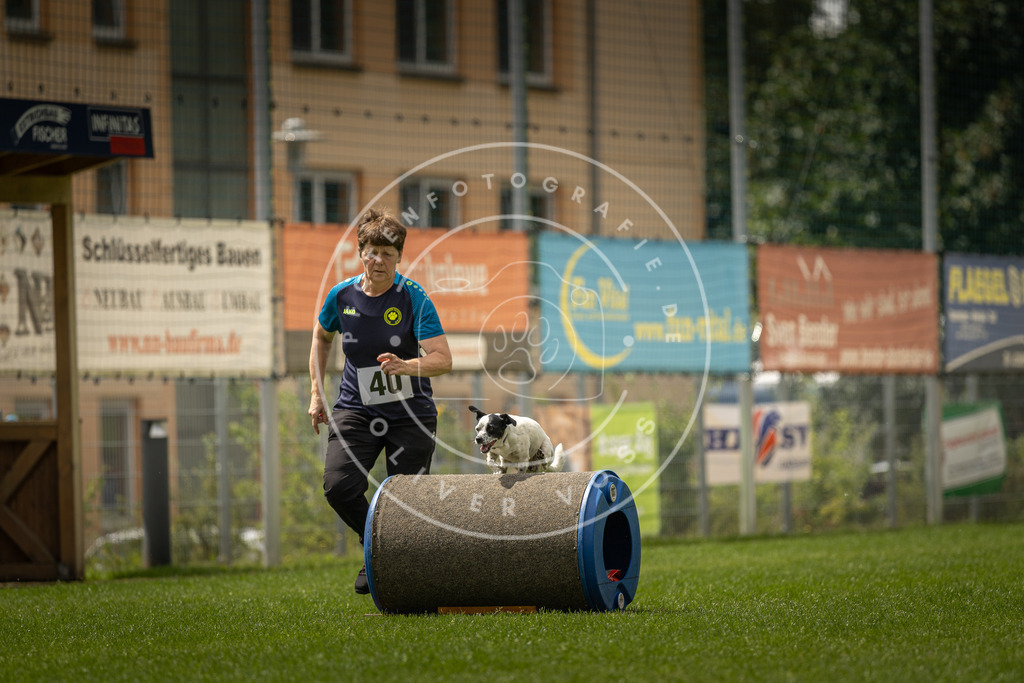 Pfotenfotografie_DV3A3736 | Hundefotografie, Tierfotograf, Pfotenfotografie, Fotoshooting Hund, Hunde Portrait, Hundesport, Hundeportraits, Heideshooting, Hunde, Sportfotograf, Hundefotograf, Turnierhundsport, THS,  - Realisiert mit Pictrs.com